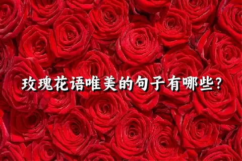 玫瑰花语唯美的句子有哪些？