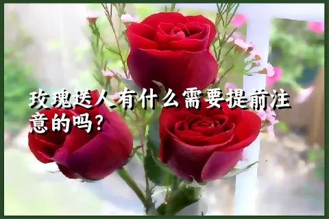 玫瑰送人有什么需要提前注意的吗？