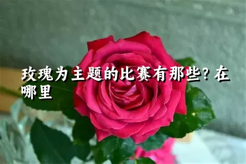 玫瑰为主题的比赛有那些？在哪里