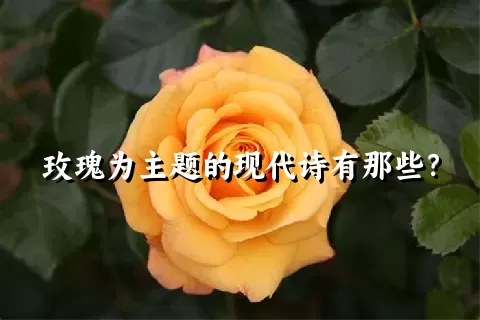 玫瑰为主题的现代诗有那些？