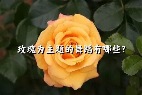 玫瑰为主题的舞蹈有哪些？