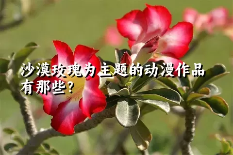 沙漠玫瑰为主题的动漫作品有那些？