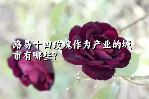 路易十四玫瑰作为产业的城市有哪些？