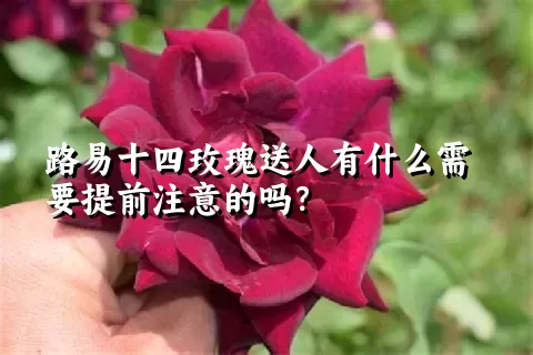 路易十四玫瑰送人有什么需要提前注意的吗？