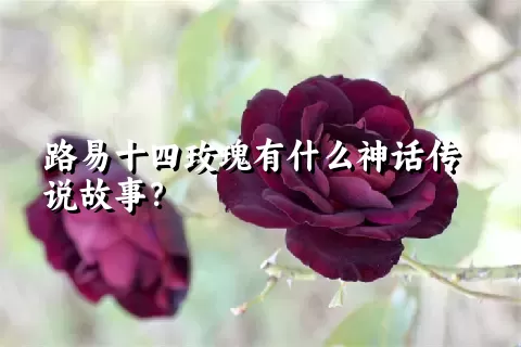 路易十四玫瑰有什么神话传说故事？