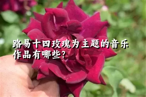 路易十四玫瑰为主题的音乐作品有哪些？