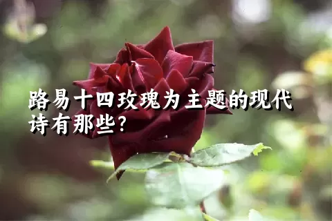 路易十四玫瑰为主题的现代诗有那些？