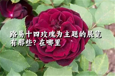 路易十四玫瑰为主题的展览有那些？在哪里