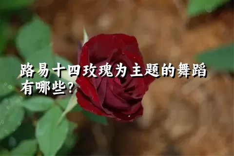 路易十四玫瑰为主题的舞蹈有哪些？