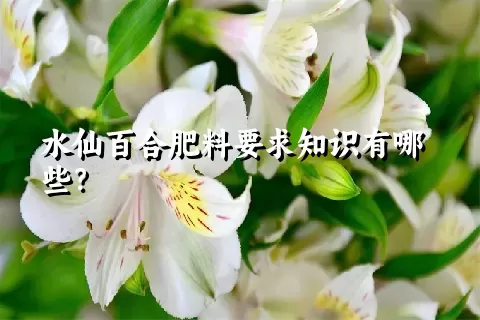 水仙百合肥料要求知识有哪些？