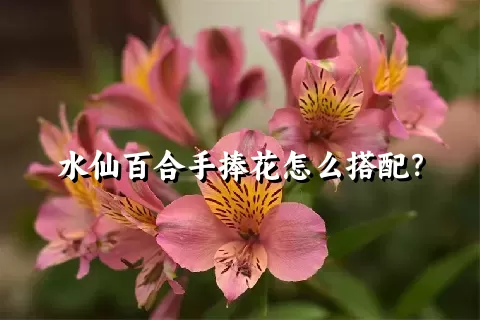 水仙百合手捧花怎么搭配？