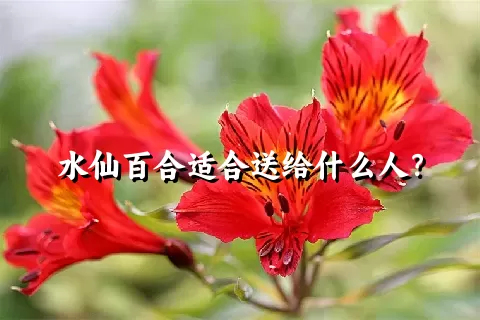 水仙百合适合送给什么人？