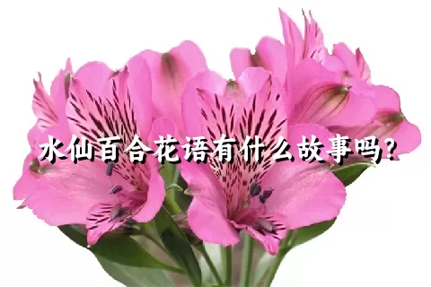 水仙百合花语有什么故事吗？