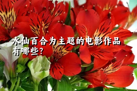 水仙百合为主题的电影作品有哪些？