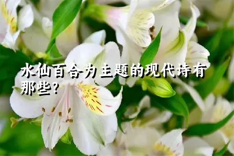 水仙百合为主题的现代诗有那些？