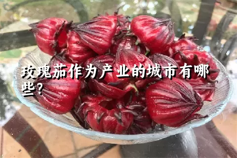 玫瑰茄作为产业的城市有哪些？