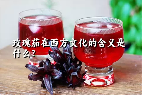 玫瑰茄在西方文化的含义是什么？