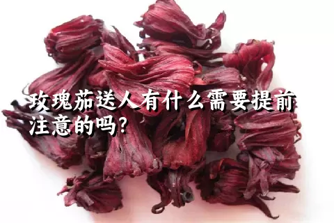 玫瑰茄送人有什么需要提前注意的吗？