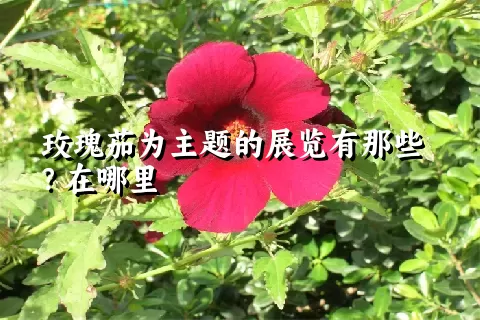 玫瑰茄为主题的展览有那些？在哪里