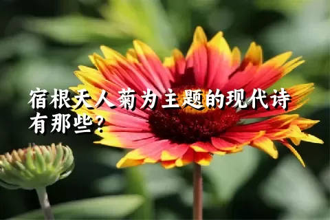 宿根天人菊为主题的现代诗有那些？