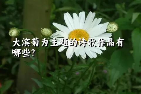 大滨菊为主题的诗歌作品有哪些？