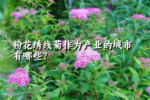 粉花绣线菊作为产业的城市有哪些？