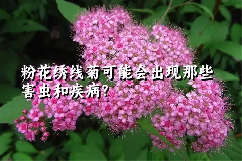 粉花绣线菊可能会出现那些害虫和疾病？