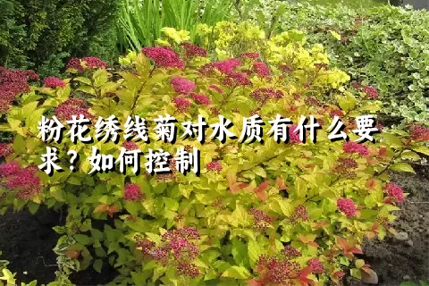 粉花绣线菊对水质有什么要求？如何控制