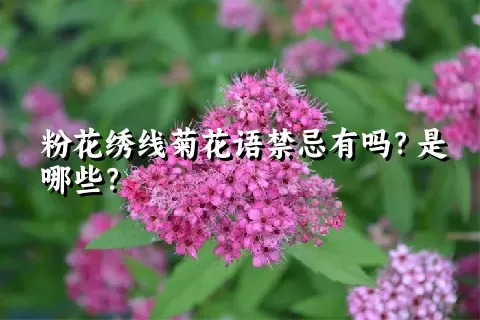 粉花绣线菊花语禁忌有吗？是哪些？