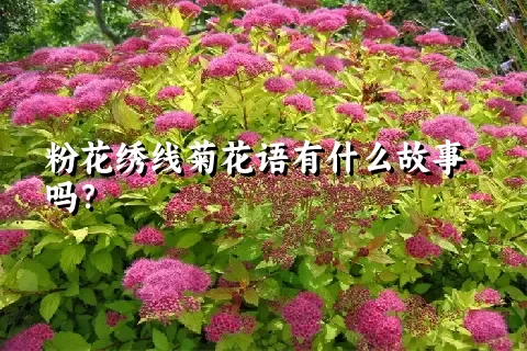 粉花绣线菊花语有什么故事吗？