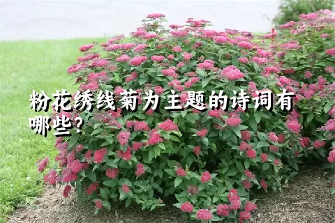 粉花绣线菊为主题的诗词有哪些？