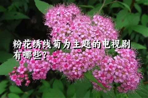 粉花绣线菊为主题的电视剧有哪些？