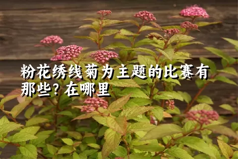 粉花绣线菊为主题的比赛有那些？在哪里