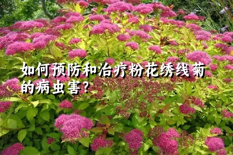 如何预防和治疗粉花绣线菊的病虫害？