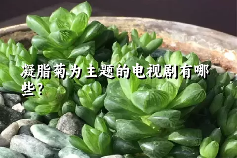 凝脂菊为主题的电视剧有哪些？