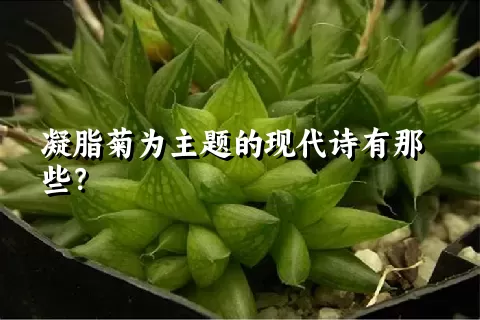 凝脂菊为主题的现代诗有那些？