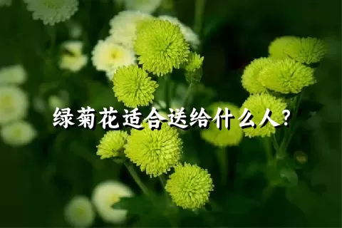 绿菊花适合送给什么人？