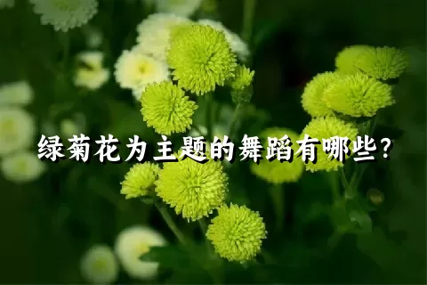 绿菊花为主题的舞蹈有哪些？