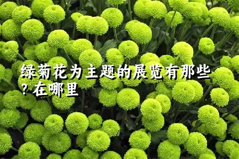 绿菊花为主题的展览有那些？在哪里