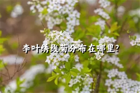 李叶绣线菊分布在哪里?