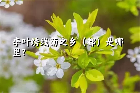 李叶绣线菊之乡（都）是哪里？