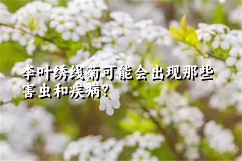 李叶绣线菊可能会出现那些害虫和疾病？