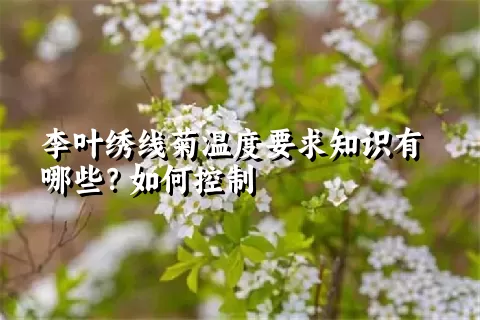 李叶绣线菊温度要求知识有哪些？如何控制