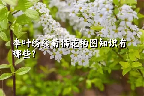 李叶绣线菊插花构图知识有哪些？