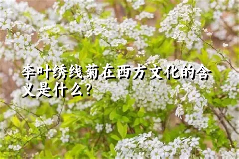 李叶绣线菊在西方文化的含义是什么？