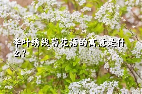 李叶绣线菊花语的寓意是什么？