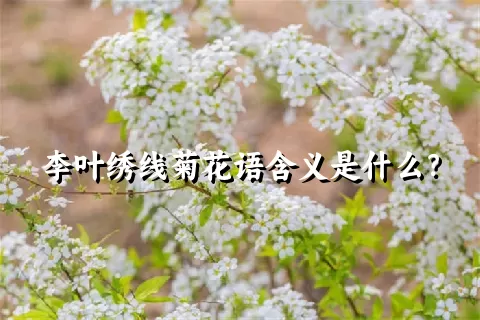 李叶绣线菊花语含义是什么？