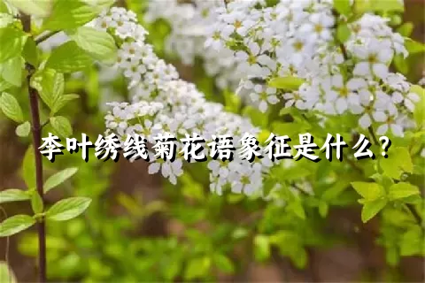 李叶绣线菊花语象征是什么？