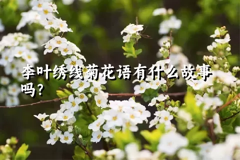 李叶绣线菊花语有什么故事吗？