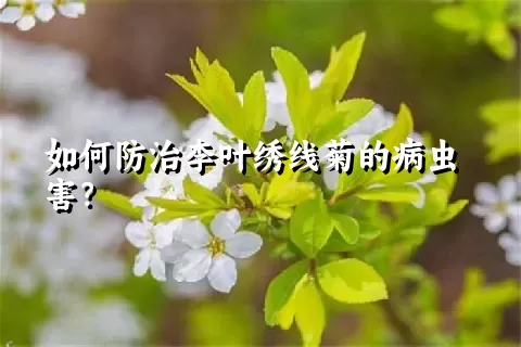 如何防治李叶绣线菊的病虫害？